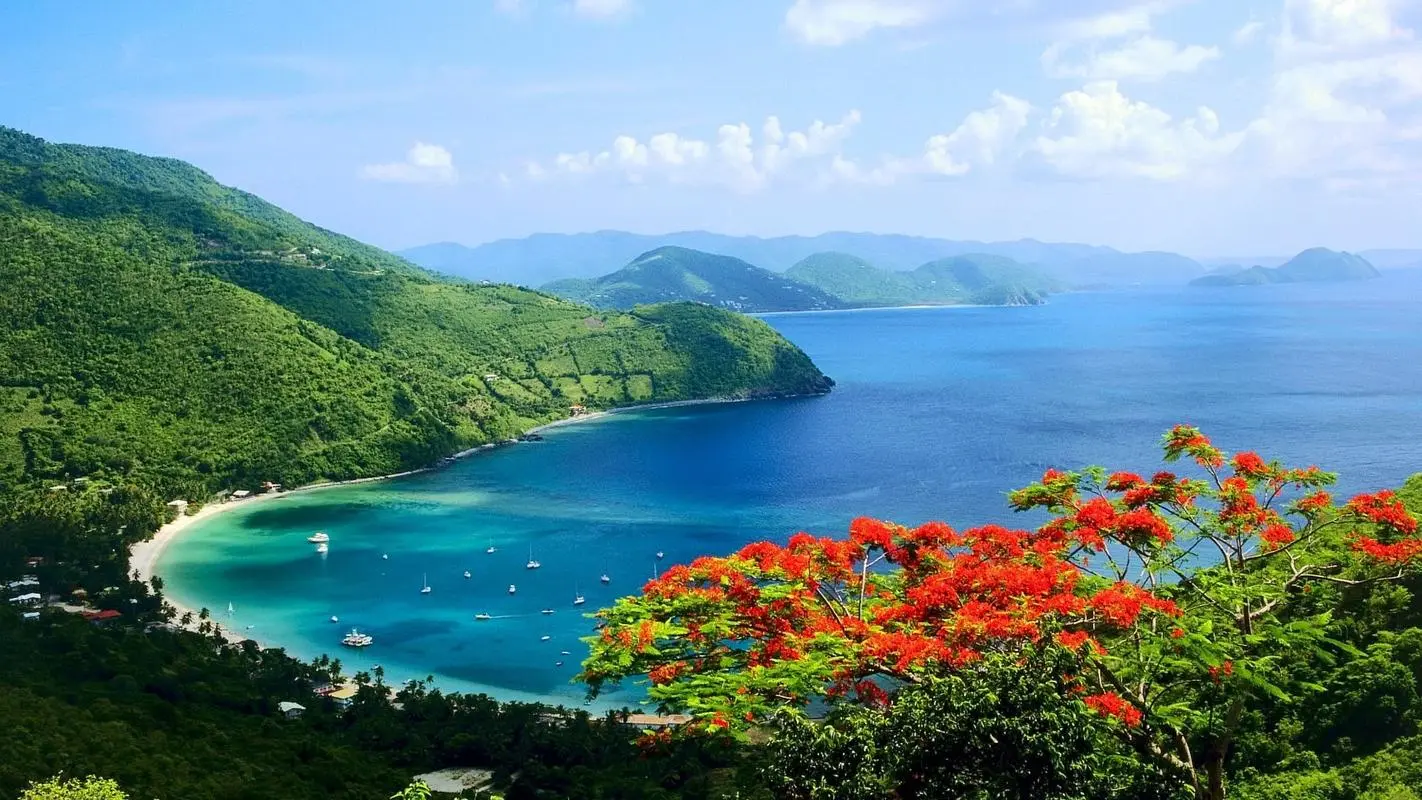 高性能可靠性